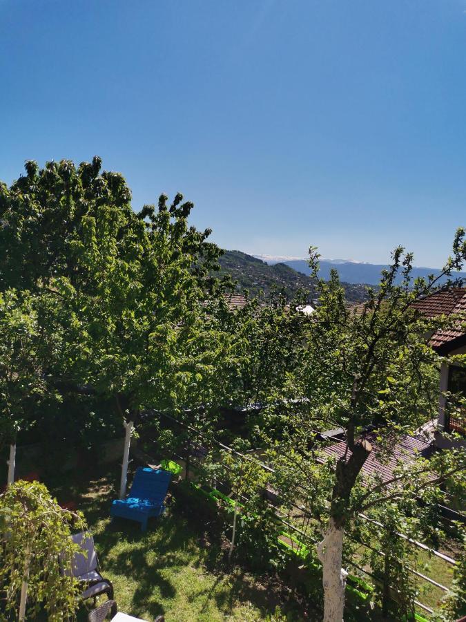 Apartments Natural And Bungalows SJJ Esterno foto